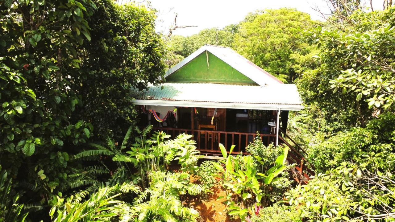 Cabana Ara Macao Lodge Драке Экстерьер фото